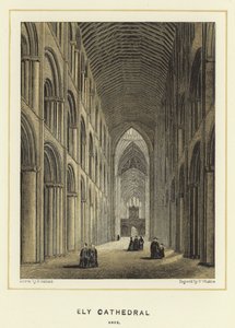 Ely-katedralen, långhus av English School