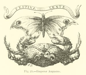 Kejsar Augustus av English School