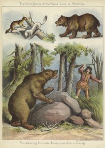 Möte med en grizzly av English School