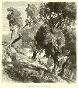 Evergreen Oaks, nära Sciacca av English School