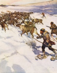 Faktorn John McLean samlar ihop en hjord av karibu i Labrador för Hudson