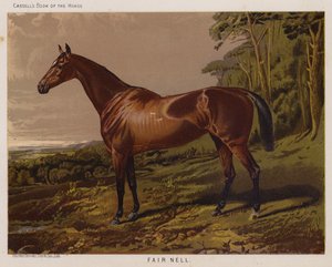 Fair Nell (färg litho) av English School