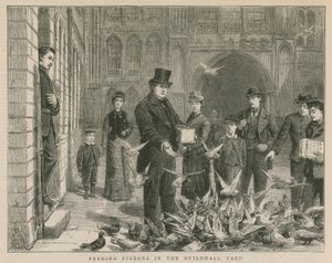 Mata duvor på Guildhall-gården av English School