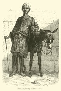 Fellah, arab; åsnepojke av English School