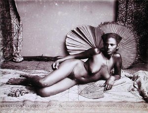 Fijian (foto) av English School