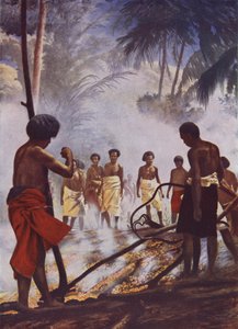 Brandvandring i Fiji av English School