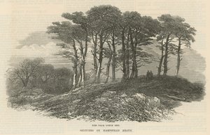 Granar nära norra änden, Hampstead Heath av English School