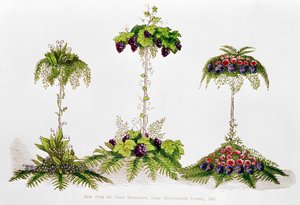 Första pris för bordsdekoration, Royal Horticultural Society, 1851 av English School