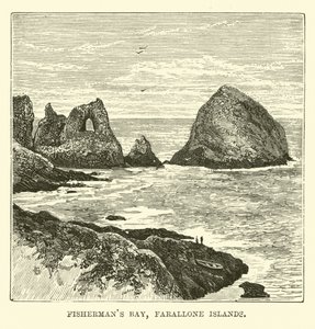 Fishermans Bay, Farallonöarna av English School