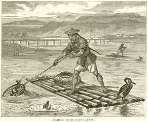 Fiske med skarv av English School