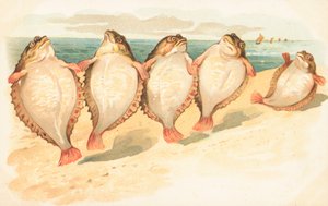 Fem plattfiskar som dansar på en strand av English School
