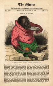 Framsidan av The Mirror från 13 januari 1838 som firar ankomsten av en Orangutang till Zoological Society