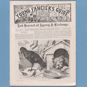 Frontispice från The Young Fanciers Guide, 1874 (se även 315145) av English School