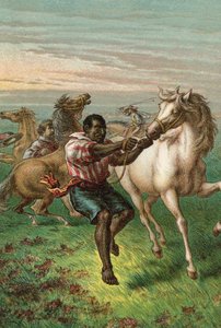 Garibaldis soldater bryter vilda hästar av English School
