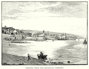 Geelong från den botaniska trädgården (gravyr) av English School