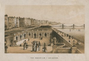 Allmän bild av akvariet i Brighton av English School