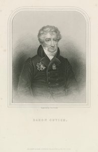 Georges Cuvier, fransk naturforskare och zoolog (gravyr) av English School
