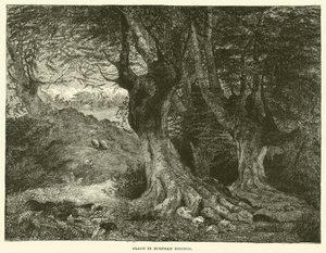 Gläntan i Burnham Beeches (gravyr) av English School