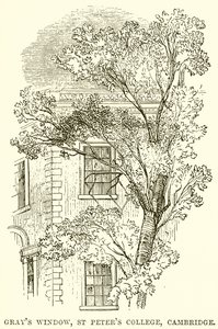 Grays Window, St Peters College, Cambridge av English School