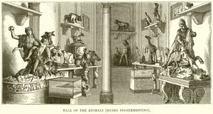 Djurens sal (Museo Pio-Clementino) av English School