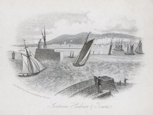 Hamn och stad, Swansea, Wales (gravyr) av English School