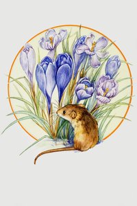 Skörda mus och krokus av English School