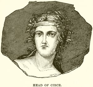 Circechef av English School