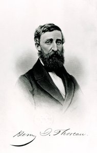 Henry David Thoreau (1817-62) av English School
