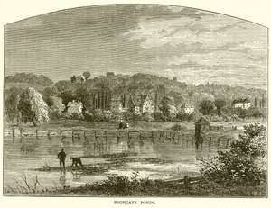Highgate Ponds av English School