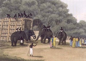 Hindoo Elephant Trap, pub. av Edward Orme av English School