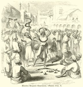 Hindoo Serpent Charmers, Psalm, lviii, 5 av English School