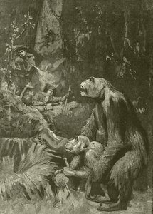 Gorillans hem (gravyr) av English School