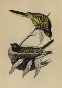 Honungsätare (litho i färg) av English School