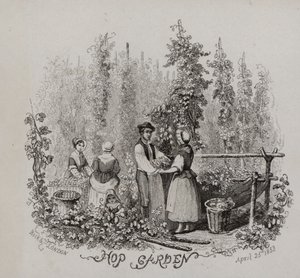 Humleträdgård (gravyr) av English School