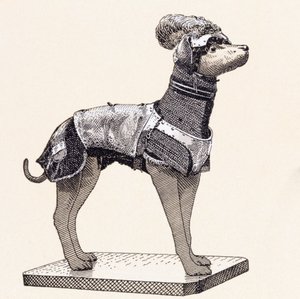Hund i kroppsskydd (färgad gravyr) av English School