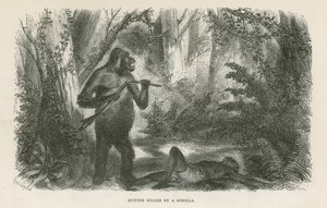 Jägare dödad av gorilla av English School