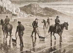 Ice-Harvest on the Hudson River, New York State, ca 1870, från 