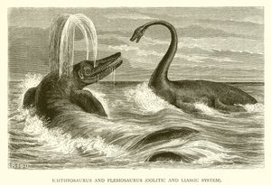 Ichthyosaurus och Plesiosaurus, Oolitic och Liassic System av English School