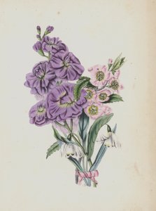 Illustration för Moss Rose Album (färglitografi) av English School