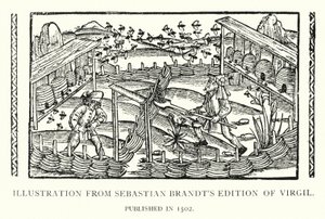 Illustration från Sebastian Brandts upplaga av Virgil, publicerad 1502 (litho) av English School