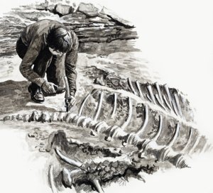 In the Days of the Dinosaurs: Battle of the Giants av English School