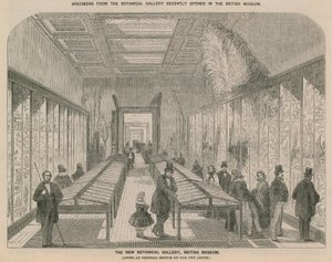 Interiörvy av det nya botaniska galleriet av English School