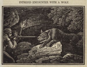 Intrepid Encounter with a Wolf (gravyr) av English School