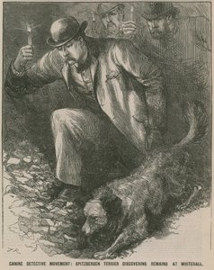 Jack the Ripper: Spitbergen terrier upptäcker kvarlevor vid Whitehall (gravyr) av English School
