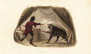 James Bruce dödar en hyena med pistol och gädda i sitt tält i Maitsha, Abessinien (nära Gondar, Etiopien) av English School
