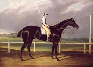 Jerry, vinnare av St. Leger 1824 (olja på duk) av English School