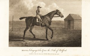 Jockey på den hyllade fullblodsracaren Mufti, tillhörande hans nåd hertigen av Bedford av English School