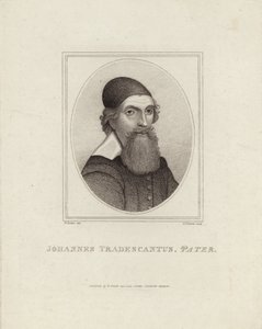 Johannes Tradescantus Pater av English School