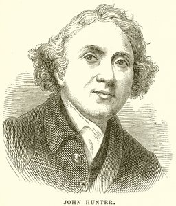 John Hunter av English School