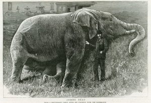 Jumbo, död av English School